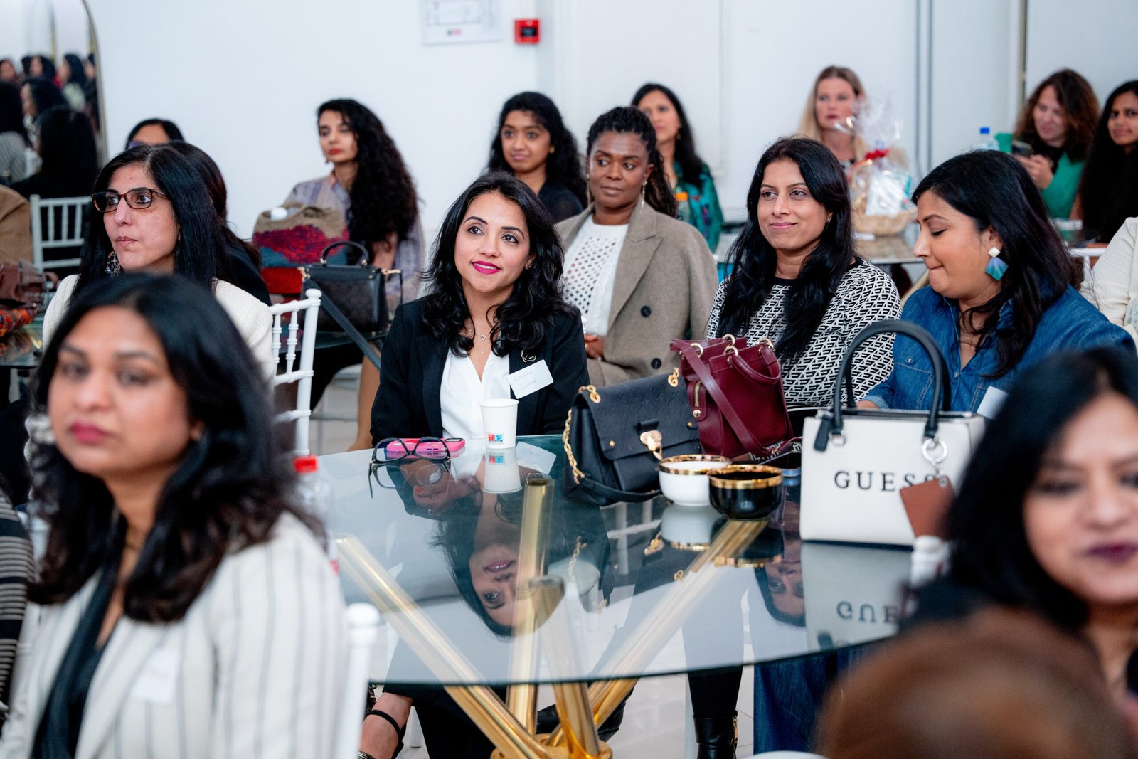 Women Entrepeneurs Connect